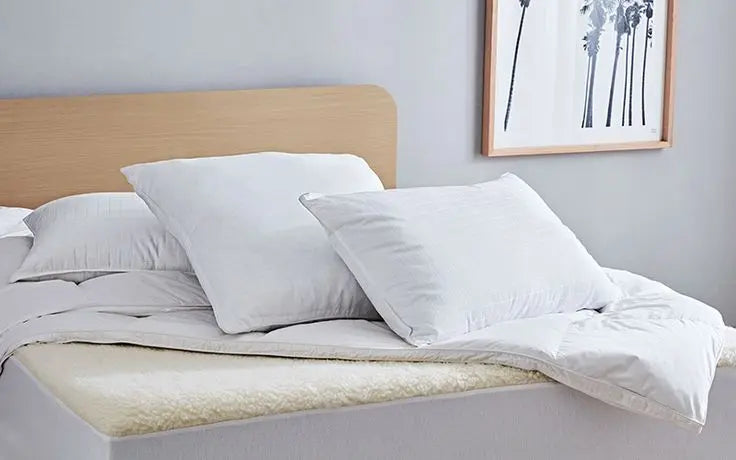 Oreiller-ferme-ou-moelleux-comment-faire-le-bon-choix ZenPur