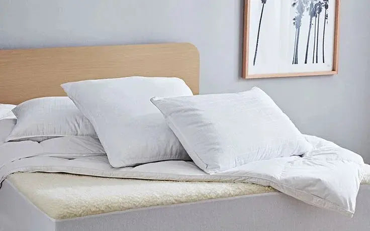 Housse-de-coussin-ou-taie-d-oreiller ZenPur