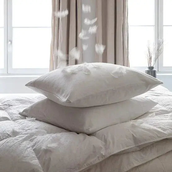 Comment-laver-une-taie-d-oreiller-correctement-guide-d-entretien-complet ZenPur