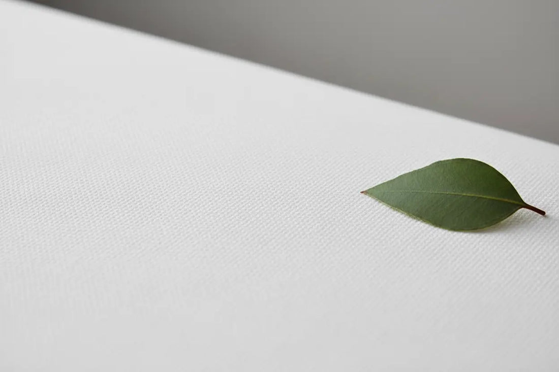 Housse de matelas en Tencel (fibre d'eucalyptus) Zenpur, respirante et écologique.