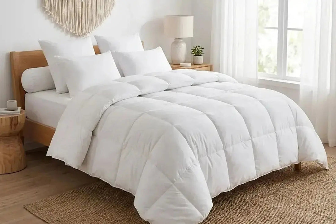 ZenPur-vs-Emma-Wopilo-Dodo-Pourquoi-choisir-l-Expertise-Sommeil ZenPur