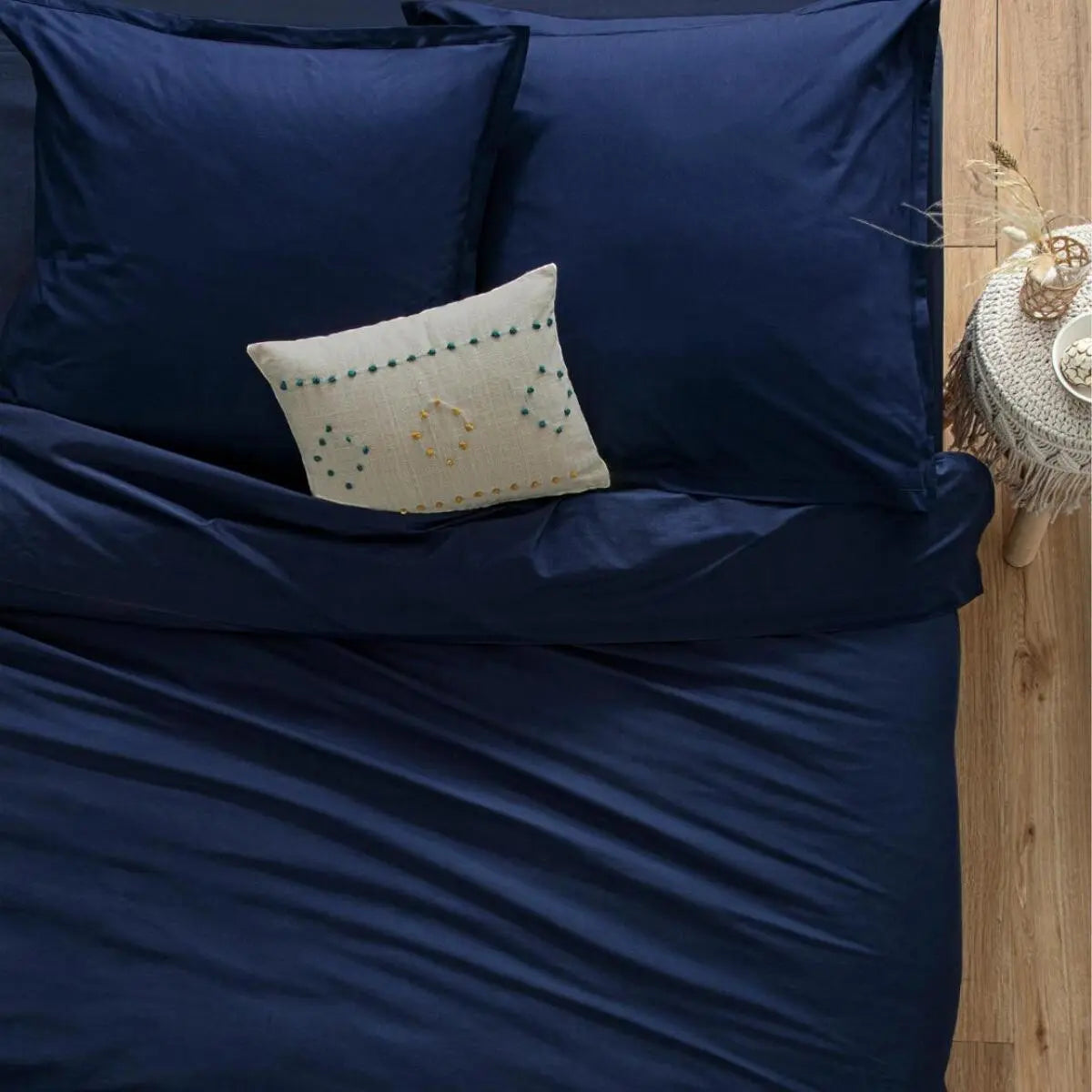 Drap housse b30 2p encr160x200 ZenPur