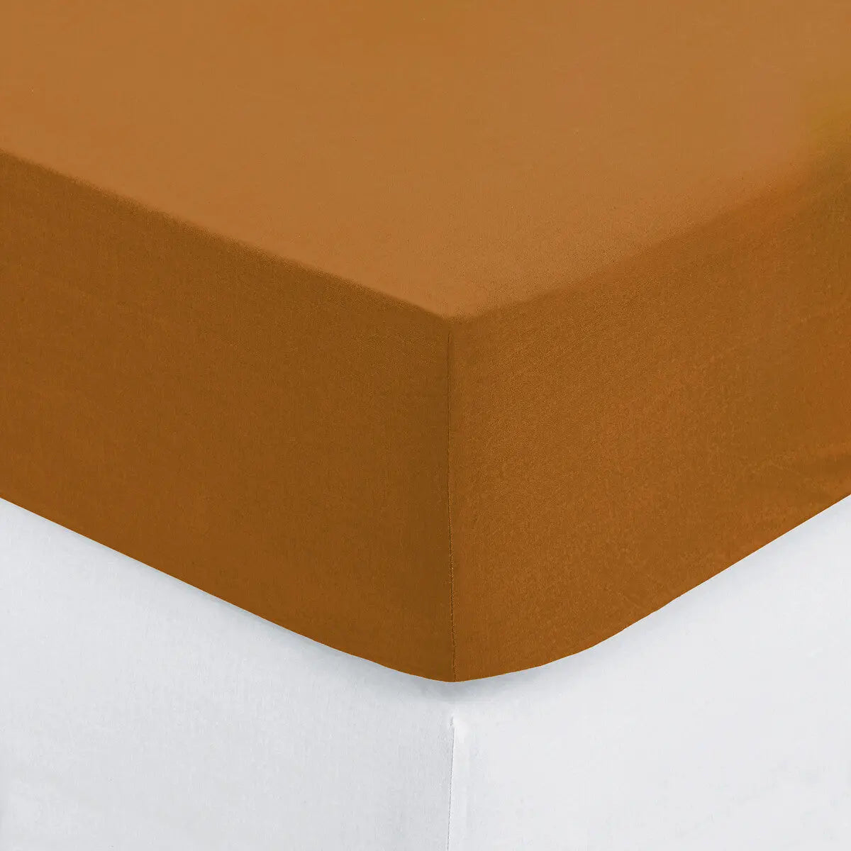 Drap housse b30 2p cmn 160x200 ZenPur