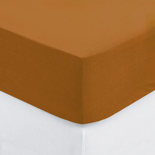 Drap housse b30 2p cmn 160x200 ZenPur