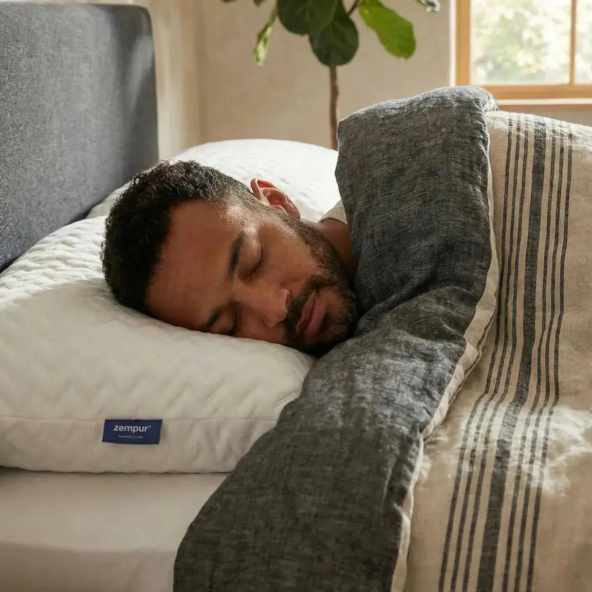 Pack 1 Couette 4 Saisons + 2 Oreillers Mémoire de Forme FERME ZenPur